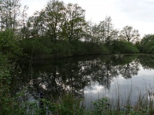image_00005