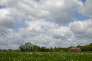 IMG_4919