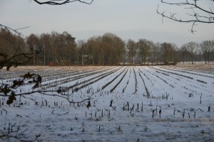 image1-006