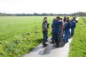 image10