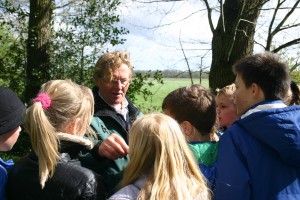 image12