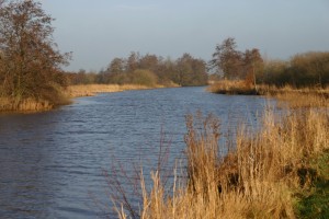 image6-001