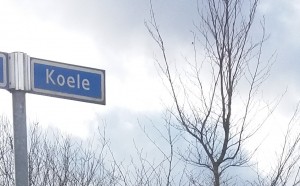 Koele, Akkie