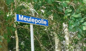 Meulepolle, Buil, Annie